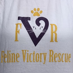 Feline Victory Rescue T-Shirt